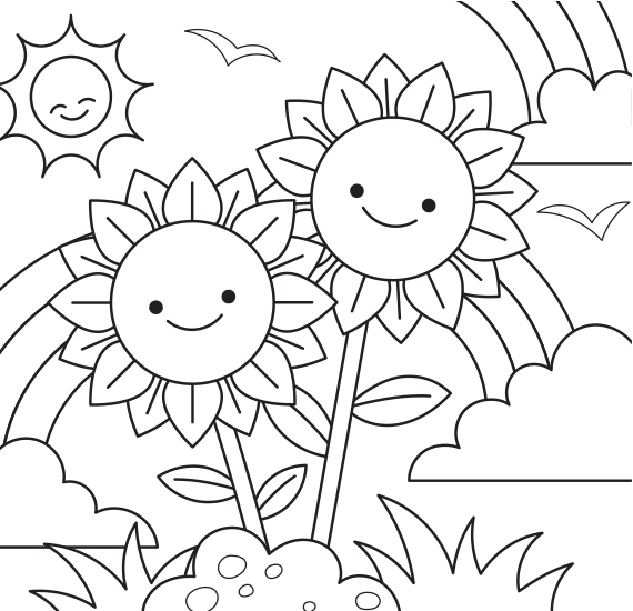 Sunflower coloring.