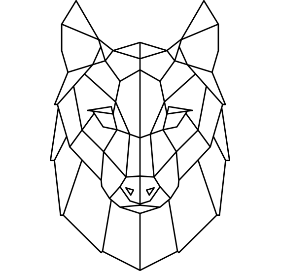Wolf Polygon Coloring Study