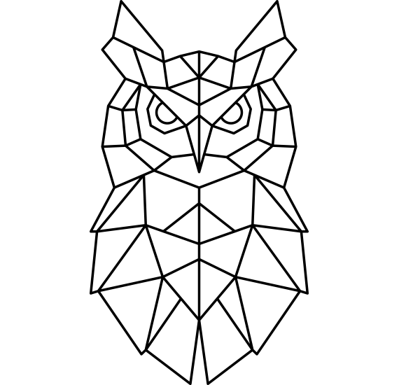 Owl Polygon Coloring Study