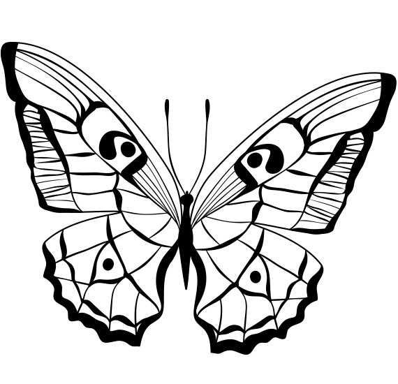 Butterfly Coloring Study.