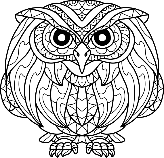 Owl Mandara Coloring Study