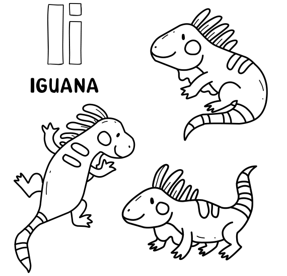 Coloring iguana.