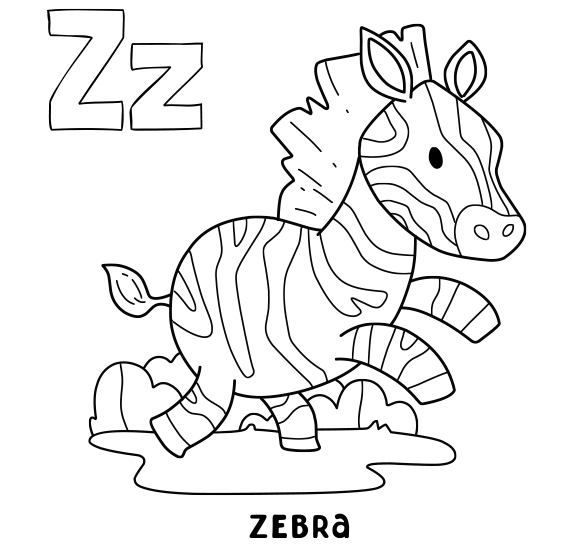 Zebra Coloring Study