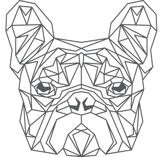 Polygon Bulldog Coloring Study