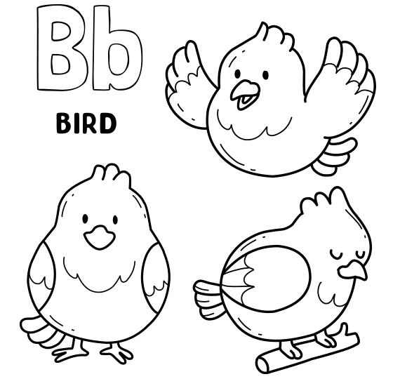 BIRD Coloring Study