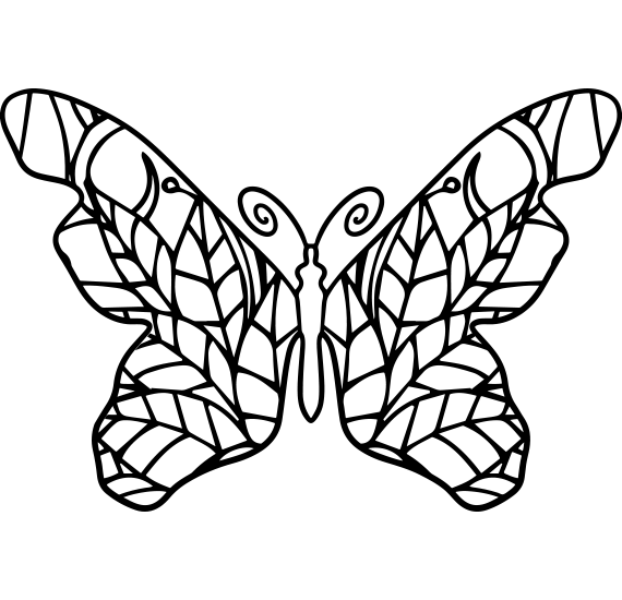 Pretty Butterfly Coloring Study