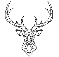 Polygon Deer Coloring Study