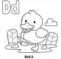 Quack quack cute baby duck coloring study