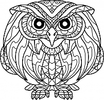 Owl Mandara Coloring Study