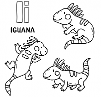 Coloring iguana.