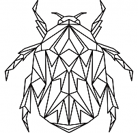 Cool beetle polygon coloring study