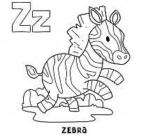 Zebra Coloring Study
