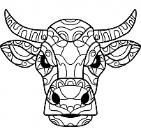 Coloring a horn cow's face.