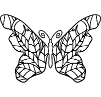 Pretty Butterfly Coloring Study
